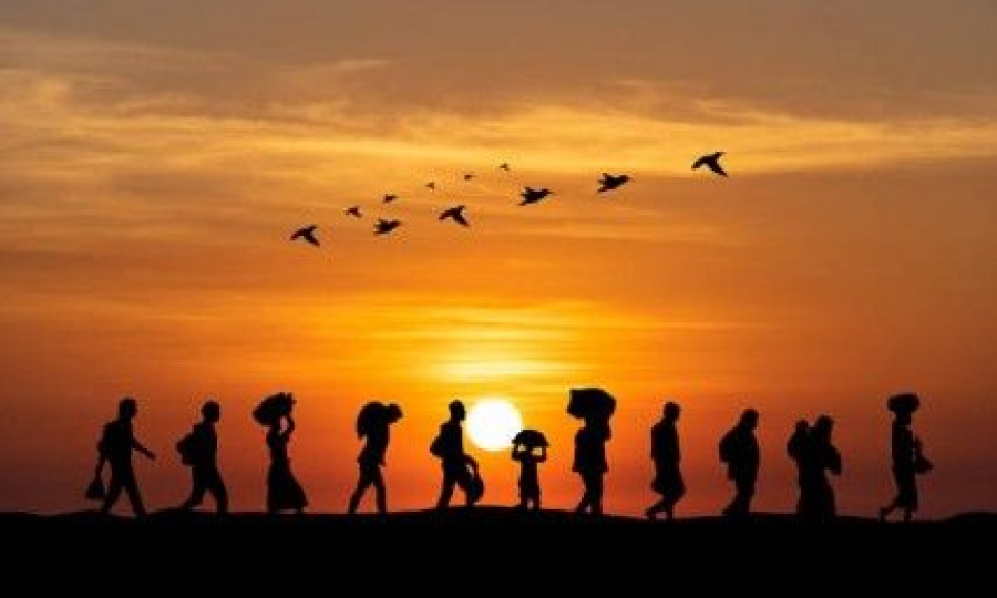 Cyprus sees sharp drop in asylum applications, ranks 8th in EU for reduction