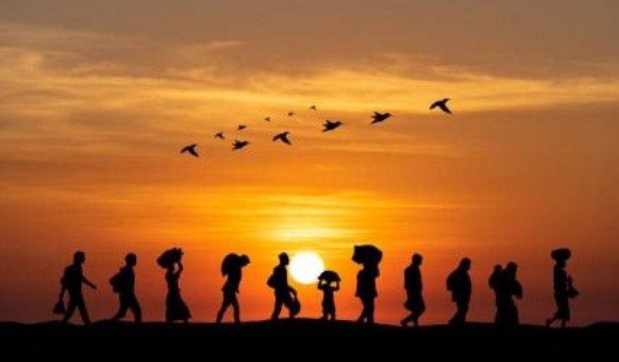Sharp decline in asylum claims follows sweeping migration reforms and strengthened border controls. Photo credit: Unsplash