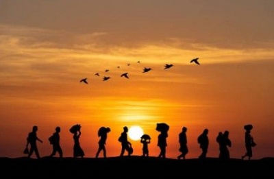 Sharp decline in asylum claims follows sweeping migration reforms and strengthened border controls. Photo credit: Unsplash