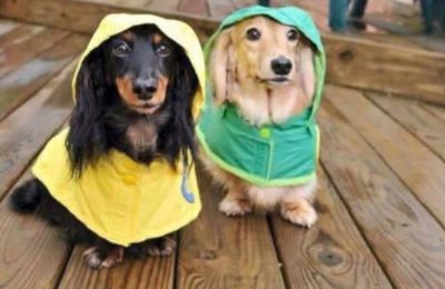 Come on, rain...don’t be shy!