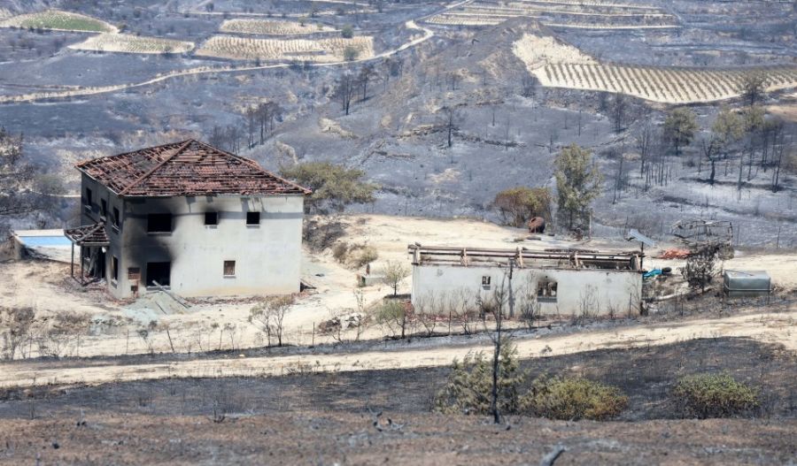 Farm animals among the silent victims of Limassol fires