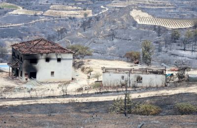 Farm animals among the silent victims of Limassol fires