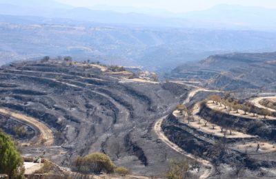 Firefighting jobs approved after Limassol fire, a little too late