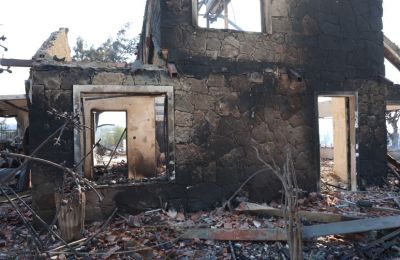 Who set Troodos on fire? Spoiler alert: It wasn’t the trees’ fault