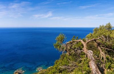 Government report finds conditions met for park’s first-phase works, with new monitoring system to track environmental impact. File photo Unsplash