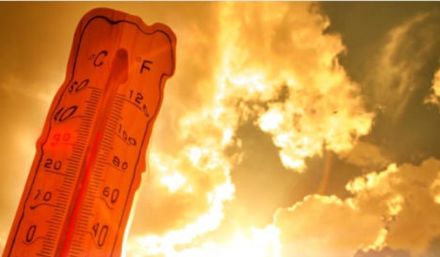 Authorities warn of elevated wildfire risk during high temperatures and strong winds. Photo credit: Unsplash