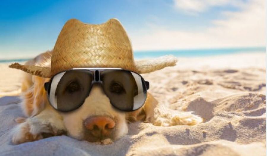 Under a sky too clear to trust, the heat lingers like an unwelcome guest, refusing to leave until it’s had the last word. Photo credit: Unsplash