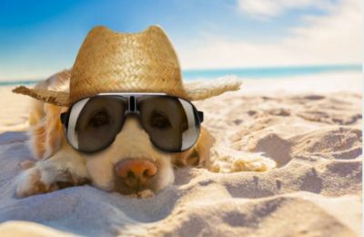 Under a sky too clear to trust, the heat lingers like an unwelcome guest, refusing to leave until it’s had the last word. Photo credit: Unsplash