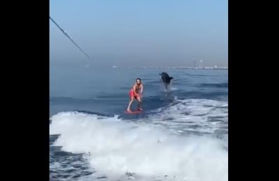 Screen grab from video on MY Cyprus