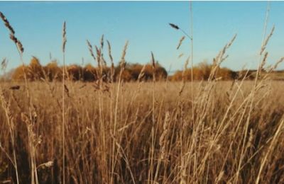 Man found dead in Nicosia field; Police investigate. Photo credit: Unsplash