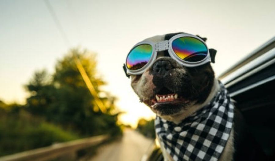 Winds at 4-5 Beaufort, because your hat clearly wasn’t safe enough. Photo credit: Unsplash