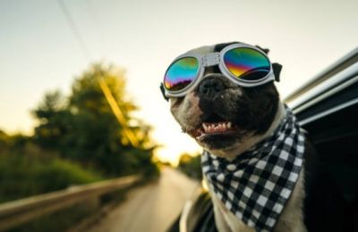Winds at 4-5 Beaufort, because your hat clearly wasn’t safe enough. Photo credit: Unsplash