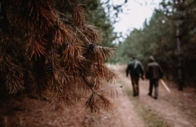 Forestry Department warns hunters: Drought and fire risk make season especially dangerous. Photo credit: Unsplash