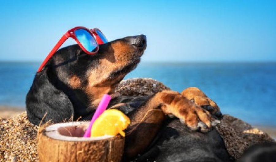 Winds at 4-5 Beaufort along the coasts, strong enough to test your beach umbrella’s will to live. Photo credit: Unsplash