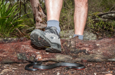 Missing runner rescued by Civil Defense after being found unconscious. Photo credit: Unsplash
