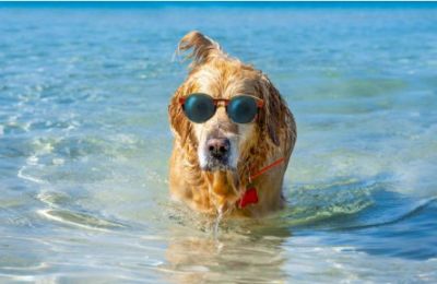 Winds at 4-5 Beaufort along the coast, strong enough to remind you that flip-flops aren’t made for sprinting. Photo credit: Unsplash