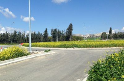 Photo courtesy Paphos Net