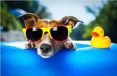 Winds up to 5 Beaufort on the southern coasts. Your sunhat may want to update its will. Photo credit: Unsplash
