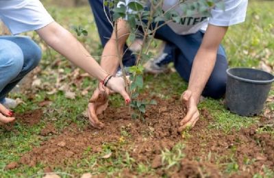 Scorching summers and worsening climate crises make tree planting a top priority. Photo credit: Unsplash