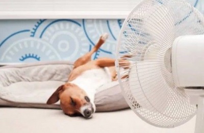 Winds at 4-5 Beaufort, because even the umbrellas need battle plans. Photo credit: Unsplash