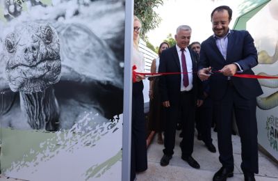Polis Chrysochous shines with new projects and plans