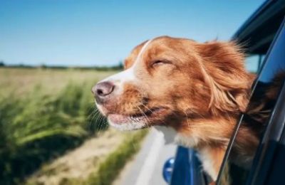 Sun vs. breeze: A tale of two temperatures. Photo credit: Unsplash