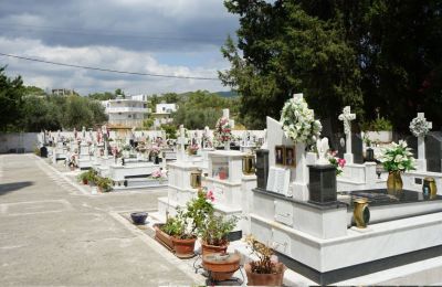 Cemetery horror as 30 cats found dead in suspected poisoning (video)