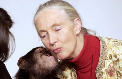 Jane Goodall, trailblazing voice for animals and the environment, dies at 91