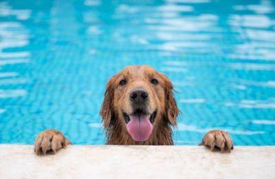 Winds stay polite and temperatures hover at “Goldilocks” levels, just right for pretending to be productive outdoors. Photo credit: Unsplash