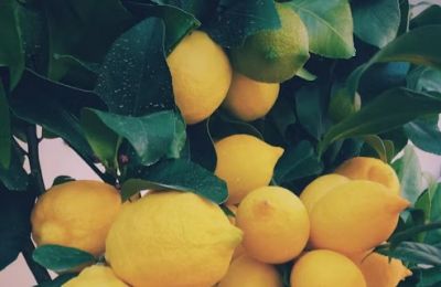 Prevention (and citrus) really does save lives. Photo credit: Unsplash