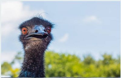 Expect clear skies and mild breezes. The weather’s decided to take it easy. Photo credit: Unsplash