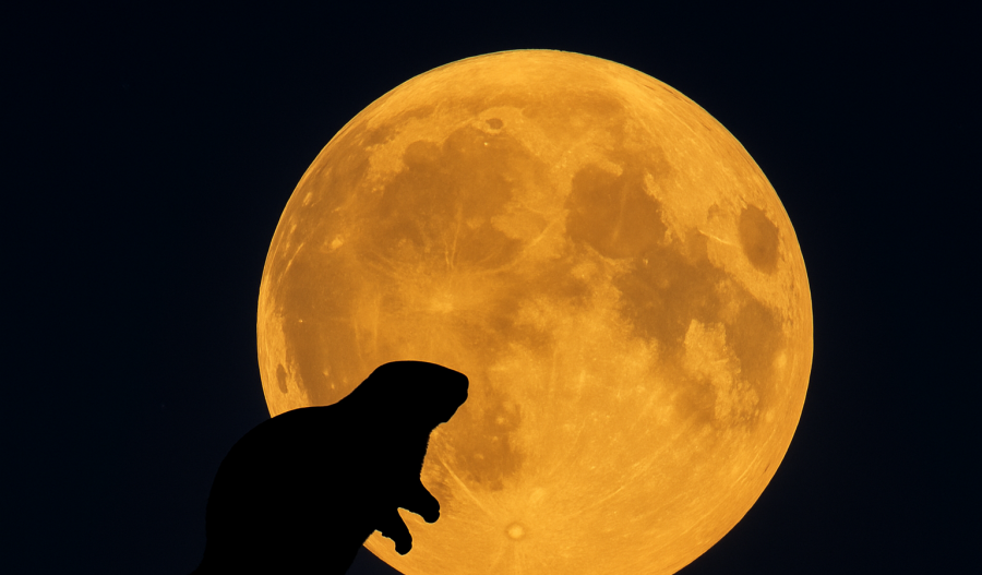 The Beaver Moon glows undisturbed, its golden light softening the thin veil of dust drifting through the night air.