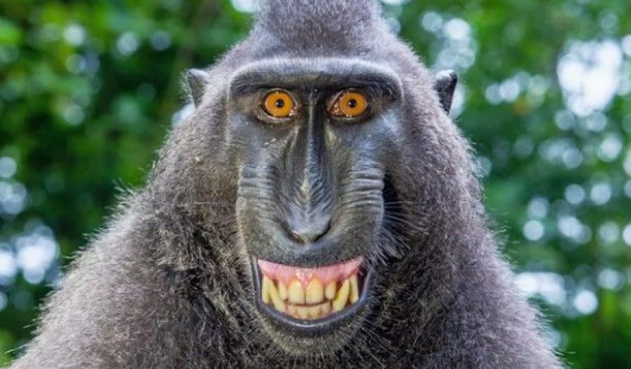 Winds stay polite while temperatures stay smugly above average. Photo credit: Unsplash