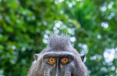 Winds stay polite while temperatures stay smugly above average. Photo credit: Unsplash