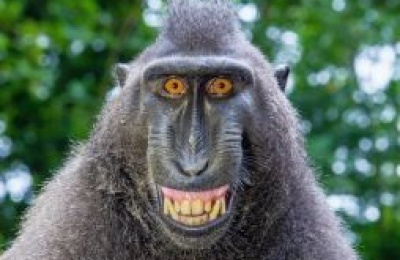 Winds stay polite while temperatures stay smugly above average. Photo credit: Unsplash