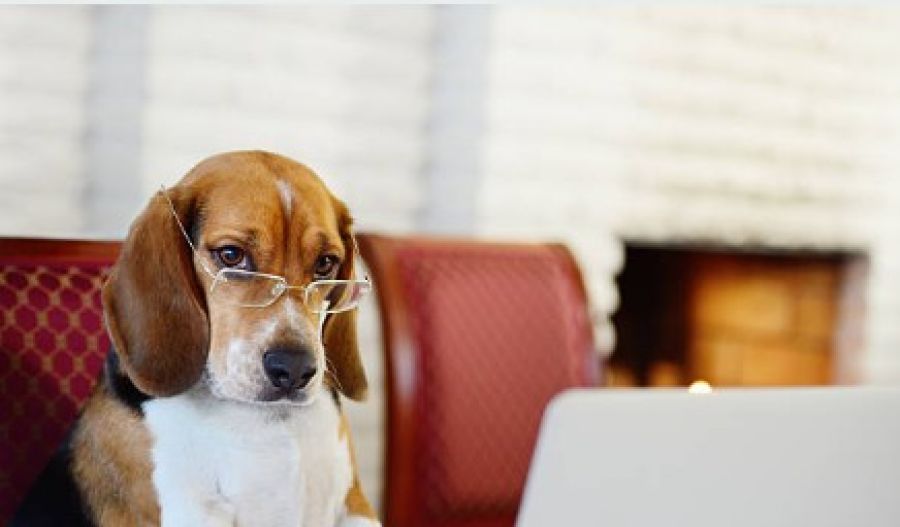 Expect wandering clouds and winds practicing their “strong but not too strong” routine. Photo credit: Unsplash