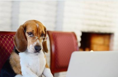 Expect wandering clouds and winds practicing their “strong but not too strong” routine. Photo credit: Unsplash