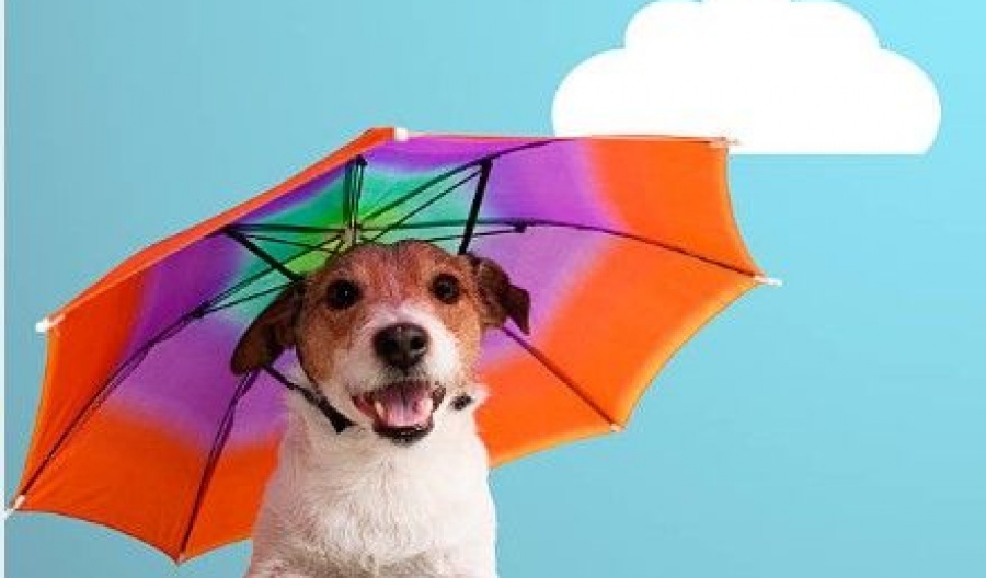 Commitment issues in the sky: Today’s clouds can't decide, but the thunderstorms are fully committed. Photo credit: Unsplash