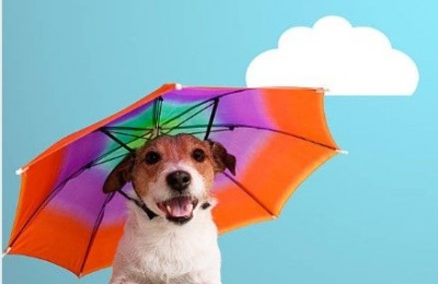 Commitment issues in the sky: Today’s clouds can't decide, but the thunderstorms are fully committed. Photo credit: Unsplash