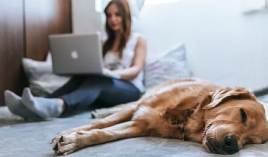 Parliament approves measure with broad support but debate flares over limits, fairness, and supervision. Photo credit: Unsplash