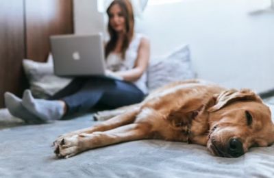 Parliament approves measure with broad support but debate flares over limits, fairness, and supervision. Photo credit: Unsplash