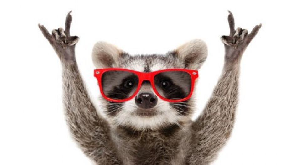 We drop this weekend to 'average,' only to shoot right back up above normal on Monday! Photo credit: Unsplash