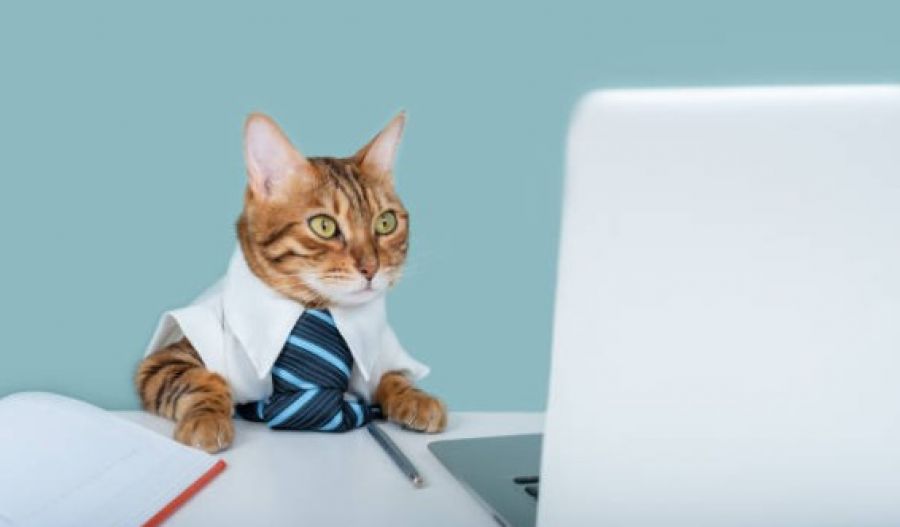 Expect only isolated, light showers while temperatures decide to overachieve all week. Photo credit: Unsplash