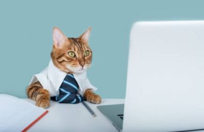 Expect only isolated, light showers while temperatures decide to overachieve all week. Photo credit: Unsplash