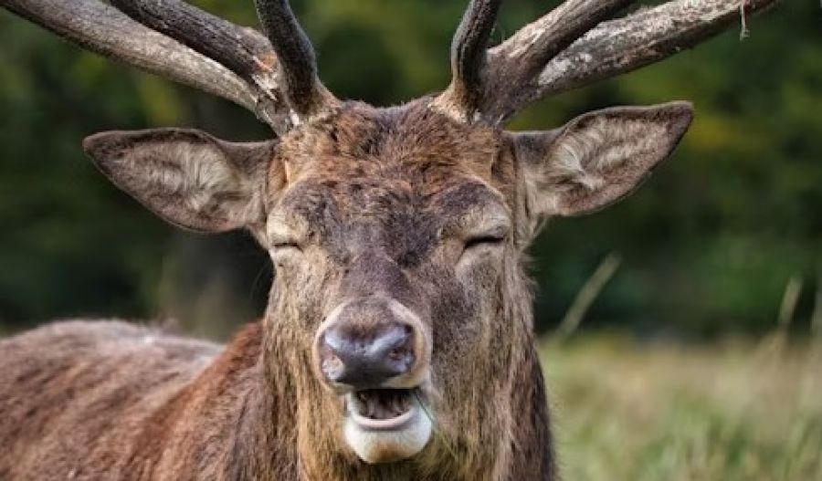 Winds show their strength, the sea adds a bit of texture, and temperatures rise with quiet ambition. Photo credit: Unsplash