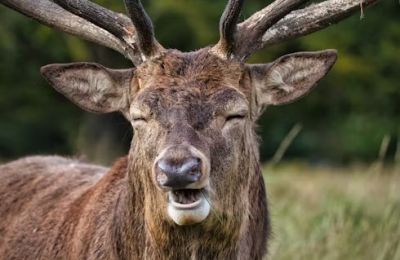 Winds show their strength, the sea adds a bit of texture, and temperatures rise with quiet ambition. Photo credit: Unsplash