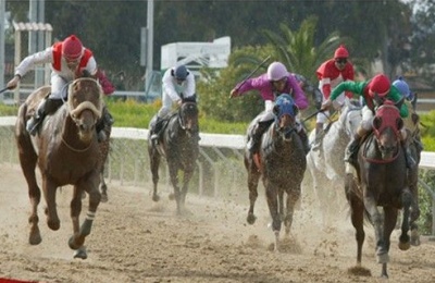 Labor Ministry inspectors issue notices over suspected undeclared work as CID continues investigations. Photo credit: @NicosiaRaceClub