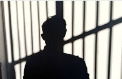 Shipping containers and multi-kilo seizures unraveled an international operation. Photo credit: Unsplash