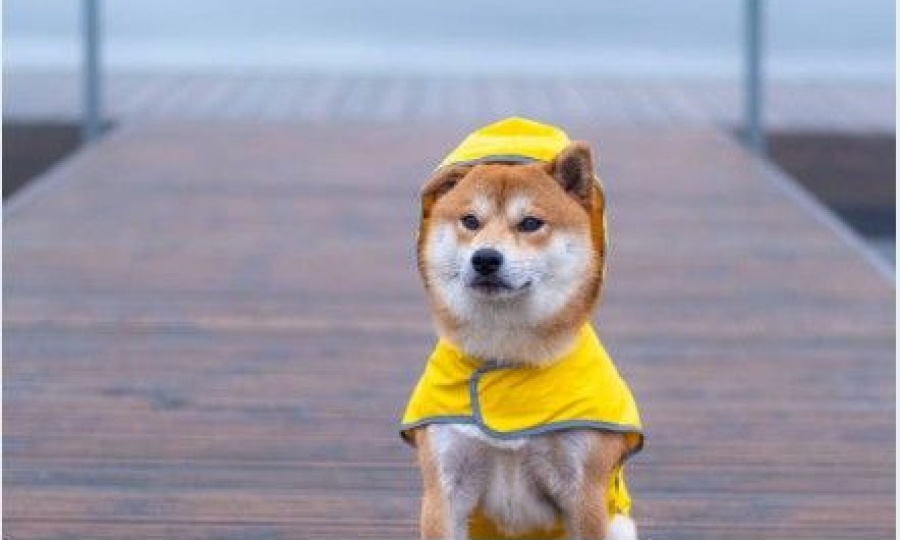 Hail yeah! Tuesday's weather forecast