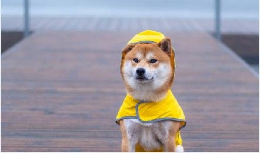 Dust settles and temperatures dip. Photo credit: Unsplash